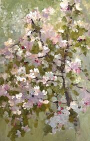 The blooming apple tree
